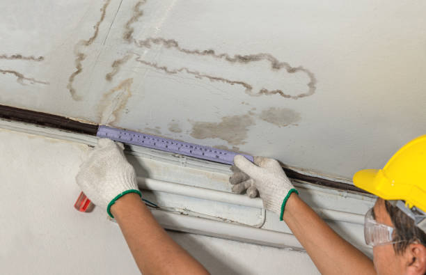 Reliable Water Damage contractor in Wylie, TX by Water Damage Irwin
